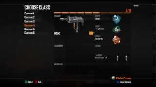 Black Ops 2 Weapon Prestige Explained [upl. by Gnolb]