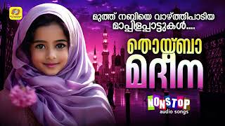 Thoyba Madheena  Nonstop Madh Song Audio Jukebox  Mappilapattukal Malayalam [upl. by Bond]