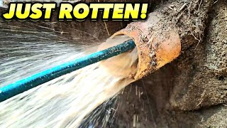 EXPLOSIVE amp Rotten Blocked Drains Not for Weak Stomachs 6 Drains [upl. by Nazler]