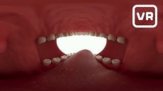 Realidade Virtual 360° Colgate [upl. by Musser]