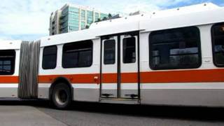 Mississauga Brampton amp York Region Transit Bus Systems [upl. by Beatrice]