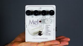 Ambient Guitar Gear Review  ElectroHarmonix Mel9 Tape Replay Machine EHX Mellotron [upl. by Francisco]