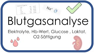 Blutgasanalyse  Elektrolyte HbWert Glucose  Laktat O2Sättigung  Teil 3 [upl. by Afrika270]