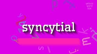 SYNCYTIAL  HOW TO PRONOUNCE SYNCYTIAL syncytial [upl. by Nnyleitak444]