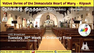 Votive Shrine Daily Mass  Live Stream  October 29 2024 Tuesday 630 am  Tamil Mass [upl. by Nedle]