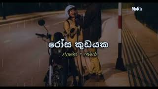 Rosa Kudayaka රෝස කුඩයක slowedreverb [upl. by Sperry]