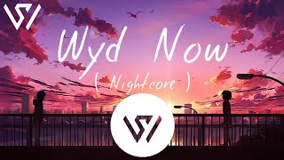 Sadie Jean  Wyd Now  X Main Rang Sharbaton ka  Nightcore [upl. by Merete172]