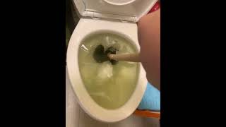 How to use a plunger properly  How to flush a clogged toilet [upl. by Udale379]