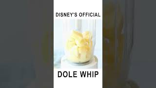 Disneys Dole Whip [upl. by Llennehc]