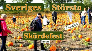 Ölands Skördefest2022  Ett Fest Att Minnas [upl. by Haodnanehs]