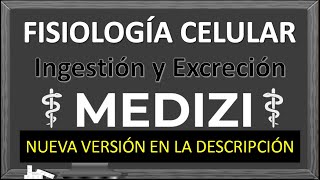 Clase 2 Fisiologia  Ingestión y excreción celular VERSIÓN ANTIGUANUEVA VERSÓN EN LA DESCRIPCIÓN [upl. by Chatwin]