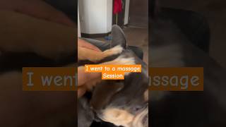 When massage vibes dont match the music massage funnyvideo cutepets petmassage awakwardmoment [upl. by Elery]