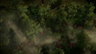 Napoleon Total war English Ambush [upl. by Reemas981]