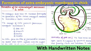 Formation of extra embryonic membrane in Chick  Developmental Biology Lecture [upl. by Calendra]