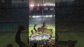 Mosaico da Seleção Brasileira em homenagem ao Dia da Consciência Negra futebol brasil uruguai [upl. by Chaddy]