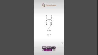 Alevel chemistry mechanism Electrophilic addition [upl. by Brenna]