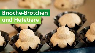 BriocheBrötchen selber backen amp Hefetiere für Kinder  AOK [upl. by Sirrom265]