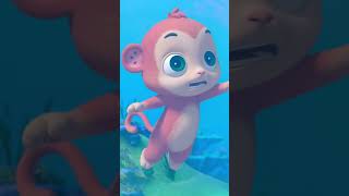 Swimming Song  CoComelon Animal Time  Animal Nursery Rhymes [upl. by Ernesta]