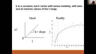 EXP3204 Psychophysics Part 3 [upl. by Azil]