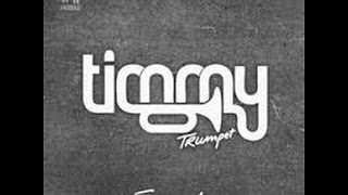 Freaks  Timmy Trumpet ft Savage Lyrics [upl. by Ajnek]