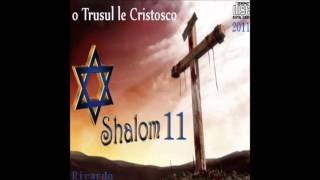 Ricardo Kwiek Shalom 11track 3 [upl. by Utica]