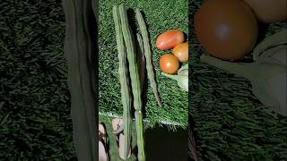 middethota skygarden vegitablegardening harvesting terracegarden [upl. by Mihe]