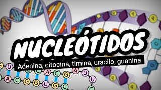 NUCLEÓTIDOS del ADN y ARN⚡¿que son Fácil y sencillo en 3 minutos [upl. by Ellak]