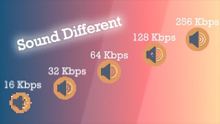 16 vs 32 vs 64 vs 128 vs 256 KBPS MUSIC COMPARISON  SOUND QUALITY DIFFERENCE BETWEEN 2024 [upl. by Ahsauqal]