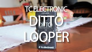 TC Electronic Ditto Stereo Looper [upl. by Azerila]