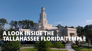 A Look Inside The Tallahassee Florida Temple [upl. by Annanhoj148]