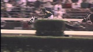 Very Best of Breeders Cup [upl. by Nemzzaj123]