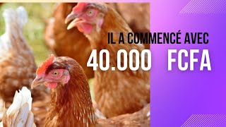 Réussir lélevage des poules pondeuses avec un petit budget [upl. by Nide738]