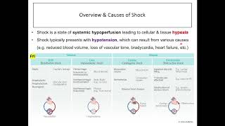 Vasopressors and Inotropes Drugs Used in Hypotension amp Shock [upl. by Zetnas298]