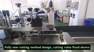 2024 Latest design TSD830A automatic bender processing 2pt  3pt cutting rules [upl. by Ahsar]