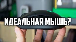 Идеальная игровая мышь  Logitech Lightspeed G703 [upl. by Annodal]