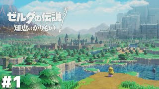 使うのは『カリモノ』の力【ゼルダの伝説 知恵のかりもの】＃１ [upl. by Albert]