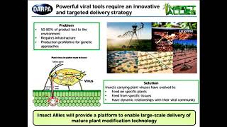 La DARPA veut répandre des virus génétiquement modifiés avec des insectes [upl. by Kciredorb]