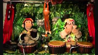 The Amazing Drumming Monkeys Song [upl. by Calla]