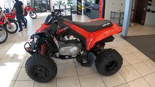 2021 CANAM DS 250  New ATV For Sale  Lodi Ohio [upl. by Colton424]