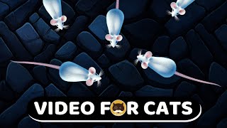 CAT GAMES  White Mice Mouse Video for Cats  CAT amp DOG TV [upl. by Illek]