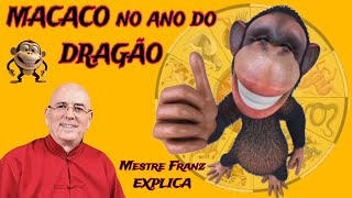 Macaco no ano do Dragão  Feng Shui EP 55 [upl. by Erusaert]