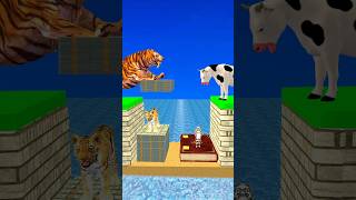 New Money vs Knowledge With Cartoon Cow vs Tiger What Do Choose Shorts Cartoon Viral [upl. by Mikael754]