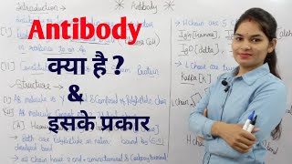 What is Antibody   Types of Antibody  एंटीबॉडी क्या है  एंटीबॉडी के प्रकार  By Manisha Maam [upl. by Sidran]