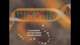 Les effets des rayonnements sur la santé [upl. by Acyre]