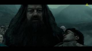 Hagrid carries Harrys body to Hogwart Harry Potter The Deathly Hallows 2 [upl. by Alleynad]