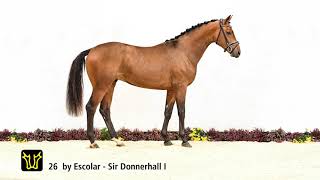 Verden Stallion Licensing 2021  Dressage  Nov 46  No 26 Stallion by Escolar  Sir Donnerhall [upl. by Dickie435]