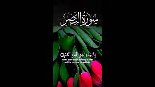 Beautiful Quran RecitationSurah Alam Nashrah With Tajweed RecitationSurah Nasr Ful Recitation [upl. by Ecital]