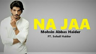 Na Jaa  Full Song  Lyrics  Mohsin Abbas Haider  New Pakistani Music 2019 [upl. by Anaya]