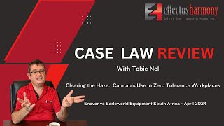 Case Law Review Clearing the Haze Cannabis use in Zero Tolerance Workplaces [upl. by Faden]