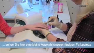 Gellack UV Lack LED Polish Gel UV Nagellack  ndedde [upl. by Karrah]